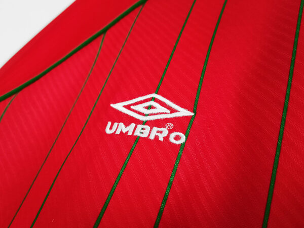 País de Gales 1° Uniforme 1994 - Imagem 4